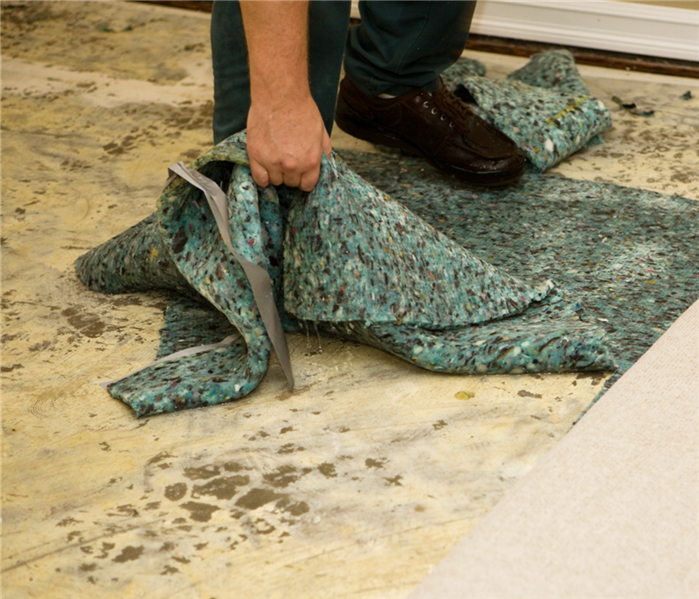 Carpet removal