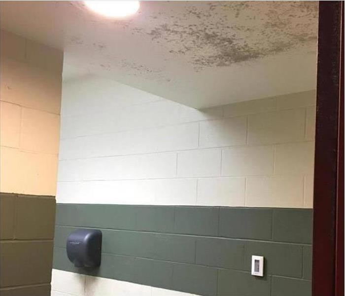 mold growing on ceiling of commercial restroom